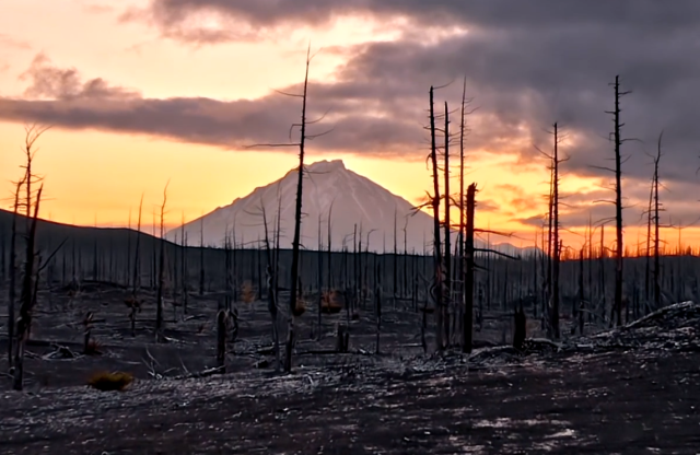 Watch: EarthShades – Part One – The Problem
